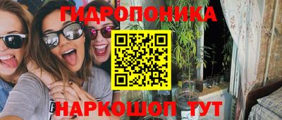 кокс Можга