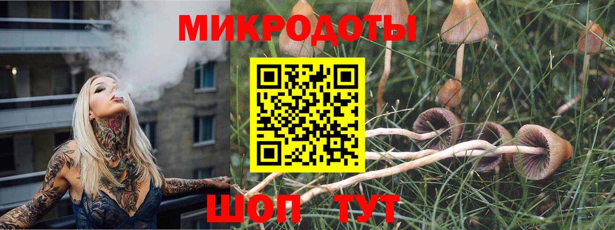 Галлюциногенные грибы ЛСД Ревда