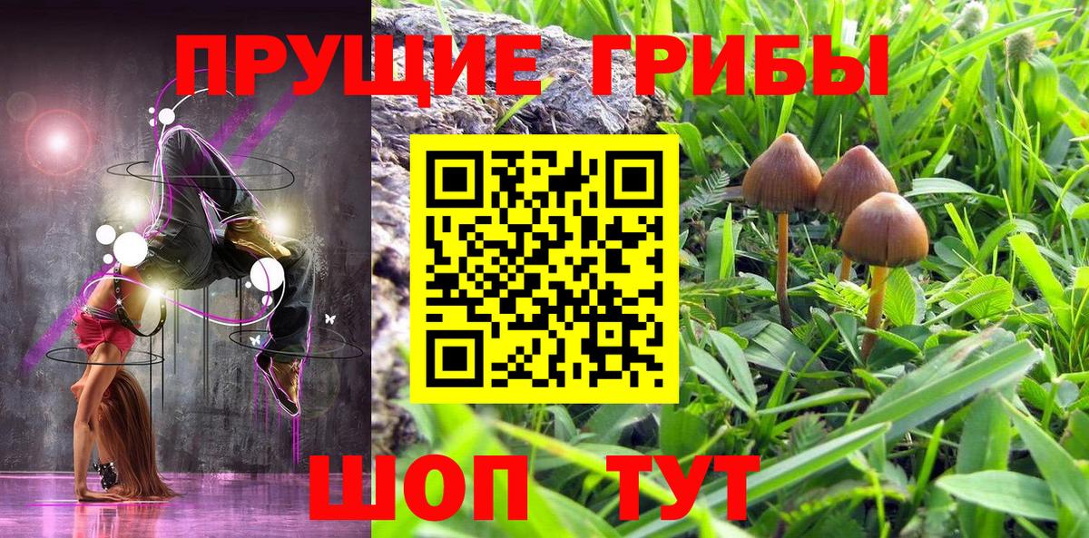 Галлюциногенные грибы MAGIC MUSHROOMS  Вход с VPN  Ревда 